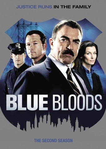 Portrait for Blue Bloods - Season 2