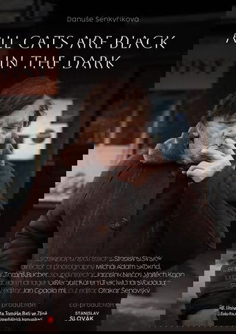 Poster of Potmě jsou všechny kočky černé