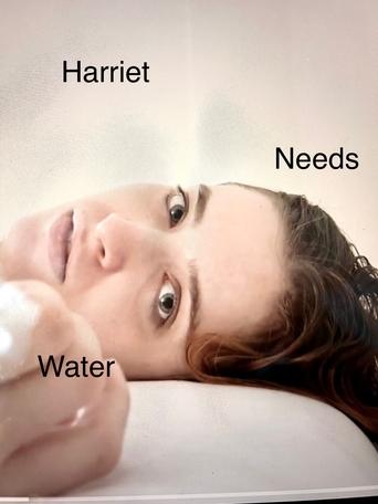 Poster of Harriet Needs Water