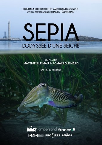 Poster of Sépia, l'odyssée d'une seiche