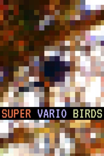 Super Vario Birds Poster of Super Vario Birds
