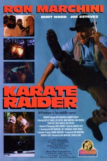 Poster of Karate Raider
