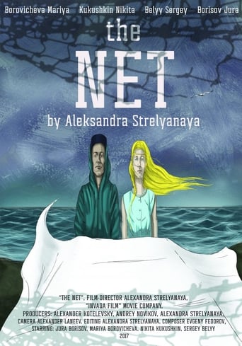 Poster of The Net