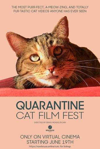 Poster of Quarantine Cat Film Festival
