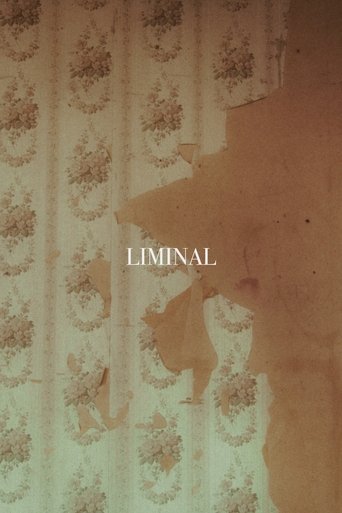 LIMINAL Poster of LIMINAL