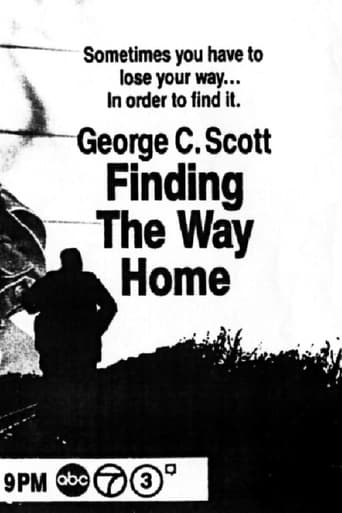 Poster of Finding the Way Home