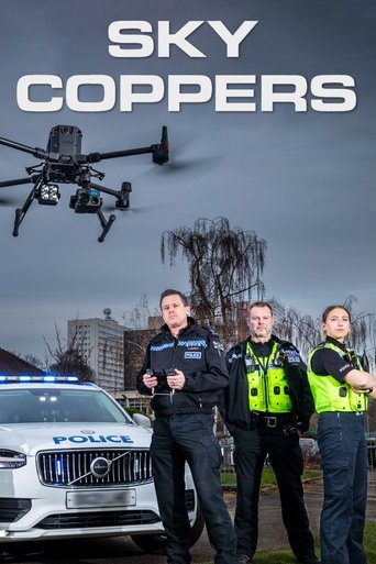 Poster of Sky Coppers