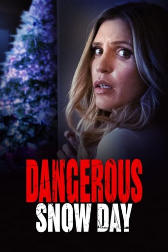 Poster of Dangerous Snow Day