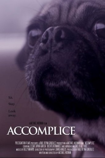 Accomplice Poster of Accomplice