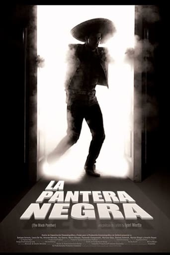 Poster of La pantera negra