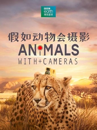 Portrait for Animals with Cameras - Season 1