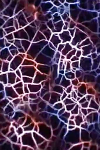 Compound Eye Poster of Compound Eye