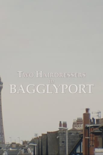 Poster of Two Hairdressers in Bagglyport