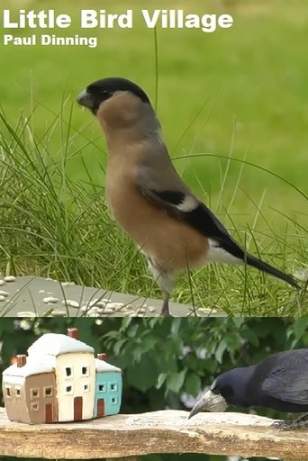 Poster of Little Bird Village