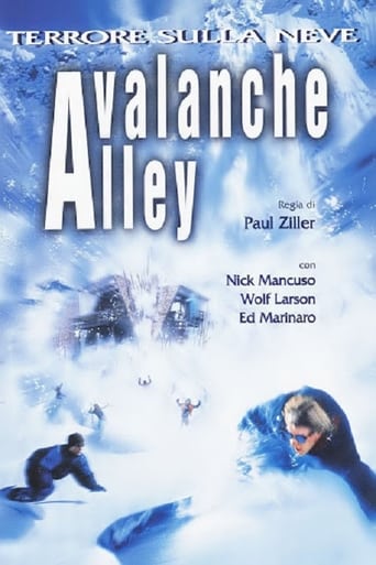 Poster of Avalanche Alley