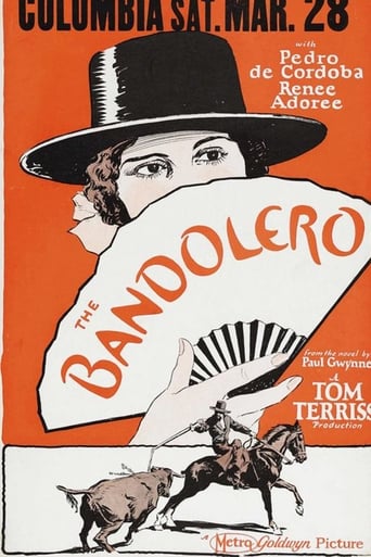 Poster of The Bandolero