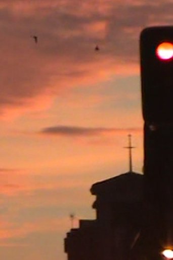 Poster of Películas de carretera. El tráfico u otras formas de organizar la vida