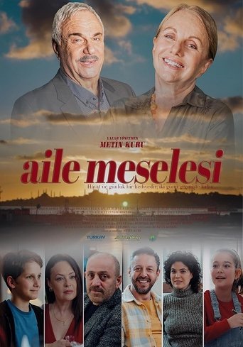 Poster of Aile Meselesi