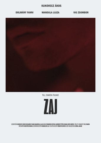 Poster of Zaj