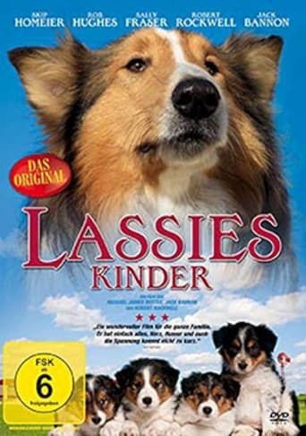 Poster of Lassie: The miracle