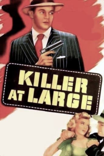 Poster of Killer at Large
