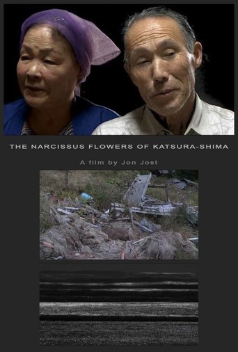 Poster of The Narcissus Flowers of Katsura-shima
