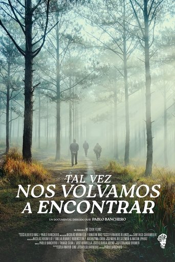 Poster of Tal vez nos volvamos a encontrar