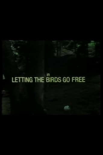 Poster of Letting the Birds Go Free