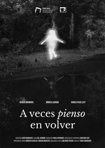 Poster of A veces pienso en volver
