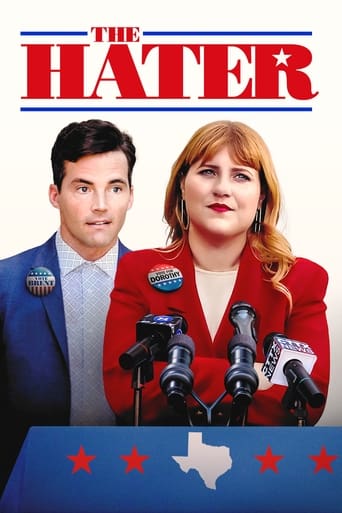 Poster of The Hater