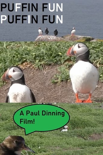 Poster of Puffin Fun