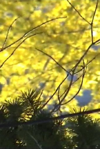 Late Spring Poster of Late Spring