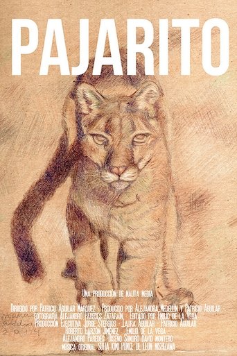 Pajarito Poster of Pajarito