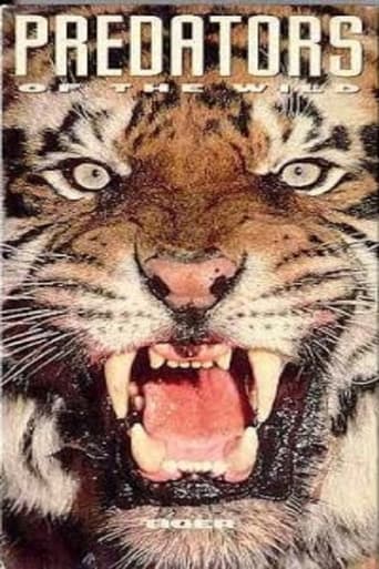 Poster of Predators of the Wild: Tiger