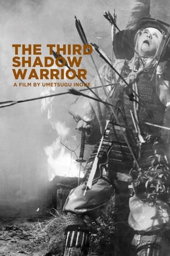 Poster of The Third Shadow Warrior