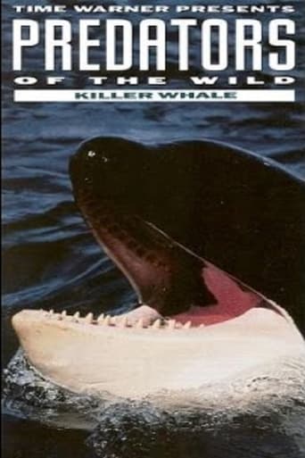 Poster of Predators of the Wild: Killer Whale