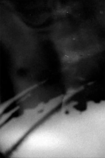 Metamorphosis Poster of Metamorphosis