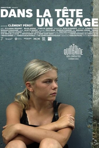 Poster of A Storm Inside