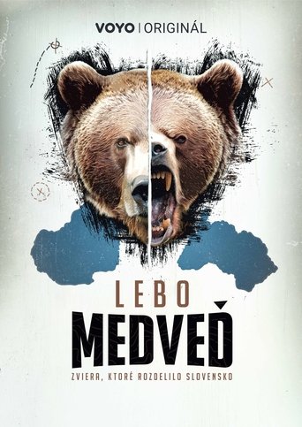 Poster of Lebo medveď