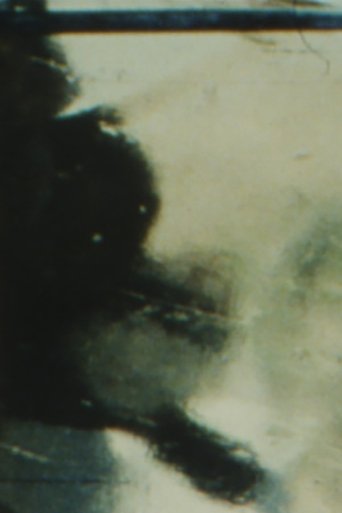 The Winter Footage Poster of The Winter Footage