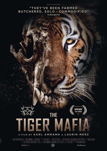 The Tiger Mafia Poster of The Tiger Mafia