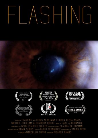 Poster of Flashing