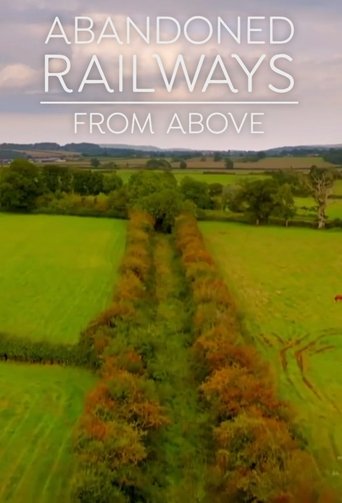 Poster of Abandoned Railways from Above