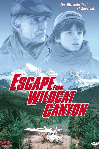 Poster of Escape from Wildcat Canyon