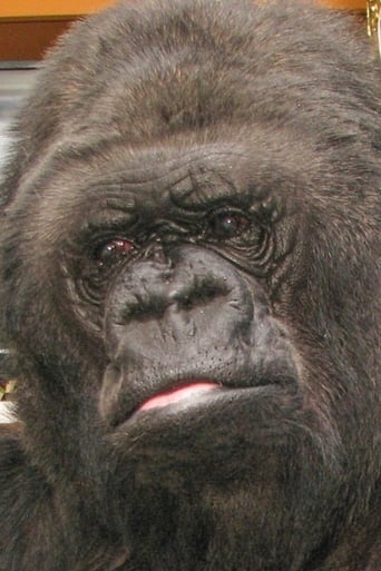 Portrait of Koko