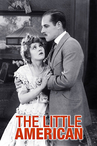 Poster of The Little American