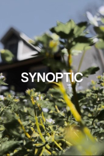 Poster of Synoptic