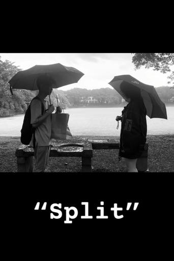Split Poster of Split