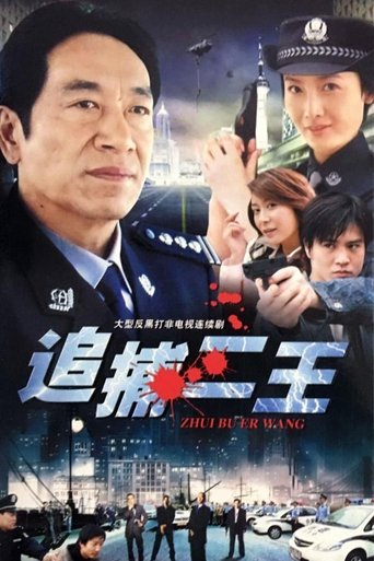 追捕二王 Poster of 追捕二王