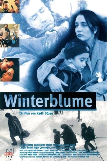 Poster of Winter Flowers